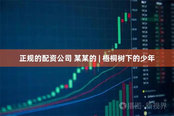 正规的配资公司 某某的 | 梧桐树下的少年