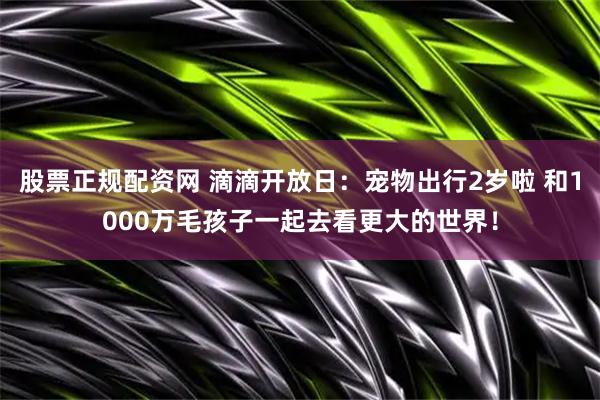 股票正规配资网 滴滴开放日：宠物出行2岁啦 和1000万毛孩子一起去看更大的世界！